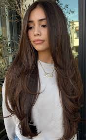 15+ Dazzling Dark Brown Hair Ideas To Elevate Your Look This Season 3 p 1 21