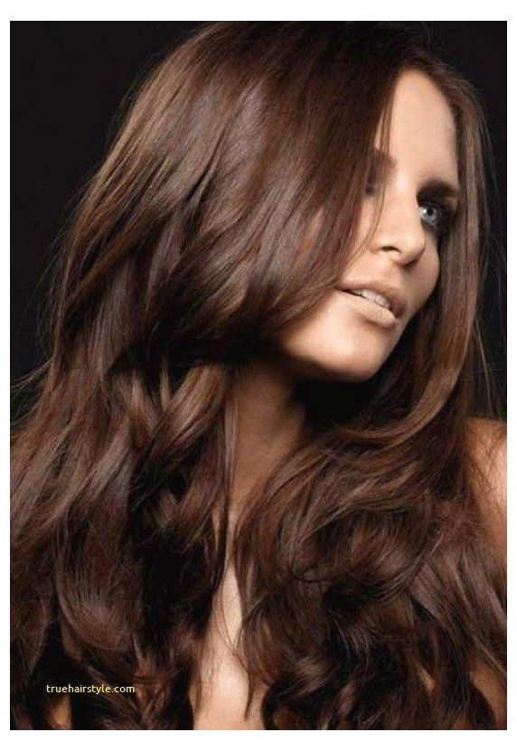 15+ Fall Hair Color Ideas to Transform Your Look This Autumn 18 p 16 28