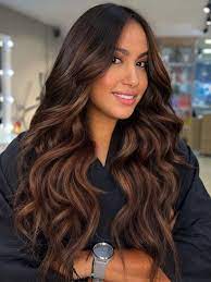 15+ Dazzling Dark Brown Hair Ideas To Elevate Your Look This Season 4 p 2 24