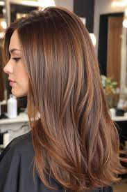 25+ Gorgeous Caramel Highlights on Dark Hair That Turn Heads 5 p 3 1