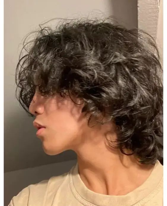 15+ Stunning Wolf Haircut Ideas for Every Style in 2025 5 p 4 2
