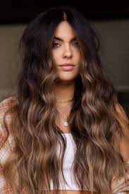 15+ Dazzling Dark Brown Hair Ideas To Elevate Your Look This Season 11 p 9 22